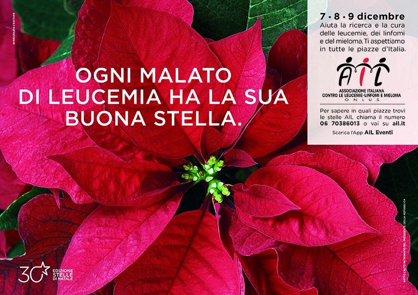 Cure Per Stella Di Natale.In 180 Piazze Della Provincia Di Cuneo Appuntamento Con La 30 Edizione Delle Stella Di Natale Ail Targatocn It