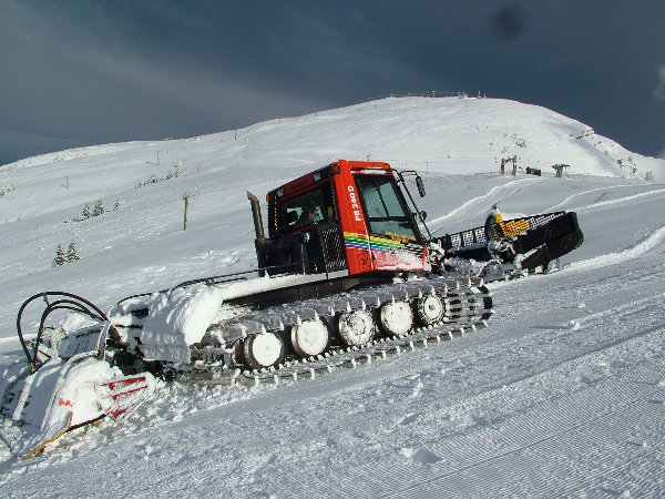 Risultato immagini per gatto delle nevi piste sci