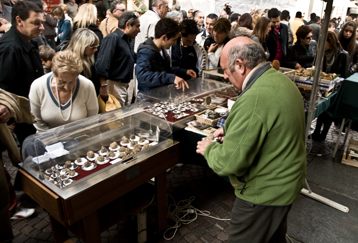 Feria de la Trufa en Alba, Italia 