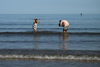 Mare sempre più caldo, nel 2025 secondo valore più alto mai registrato Mare sempre più caldo, nel 2025 secondo valore più alto mai registrato