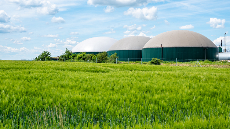Biogas: si apre una nuova filiera tecnologica per il ritiro dell'energia dai produttori Biogas: si apre una nuova filiera tecnologica per il ritiro dell'energia dai produttori
