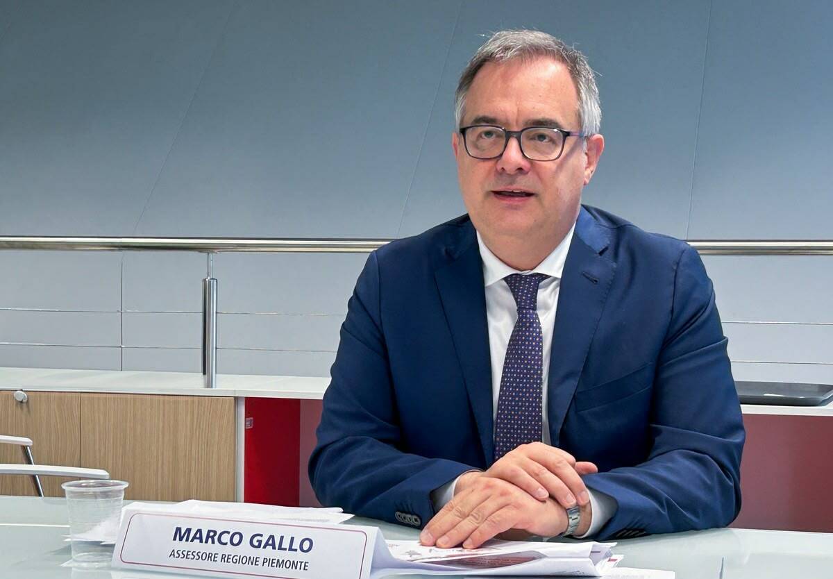 Bosco di castagni in montagna, proprietari riuniti in assemblea per discutere progetti condivisi di valorizzazione forestale