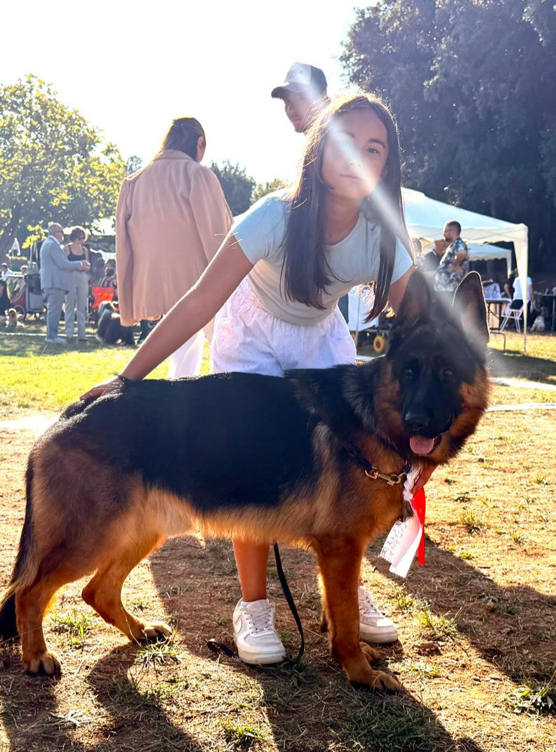 Bra, due gare di successo per Lara Giuliano e il suo pastore tedesco, con giallo finale Bra, due gare di successo per Lara Giuliano e il suo pastore tedesco, con giallo finale