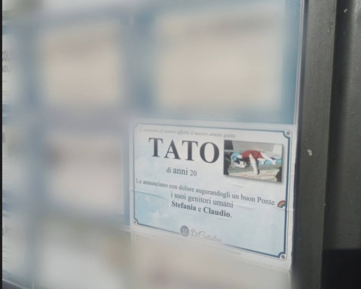 Manifesti funebri per animali d’affezione, dopo “Tato” Cuneo potrebbe installare una bacheca Manifesti funebri per animali d’affezione, dopo “Tato” Cuneo potrebbe installare una bacheca