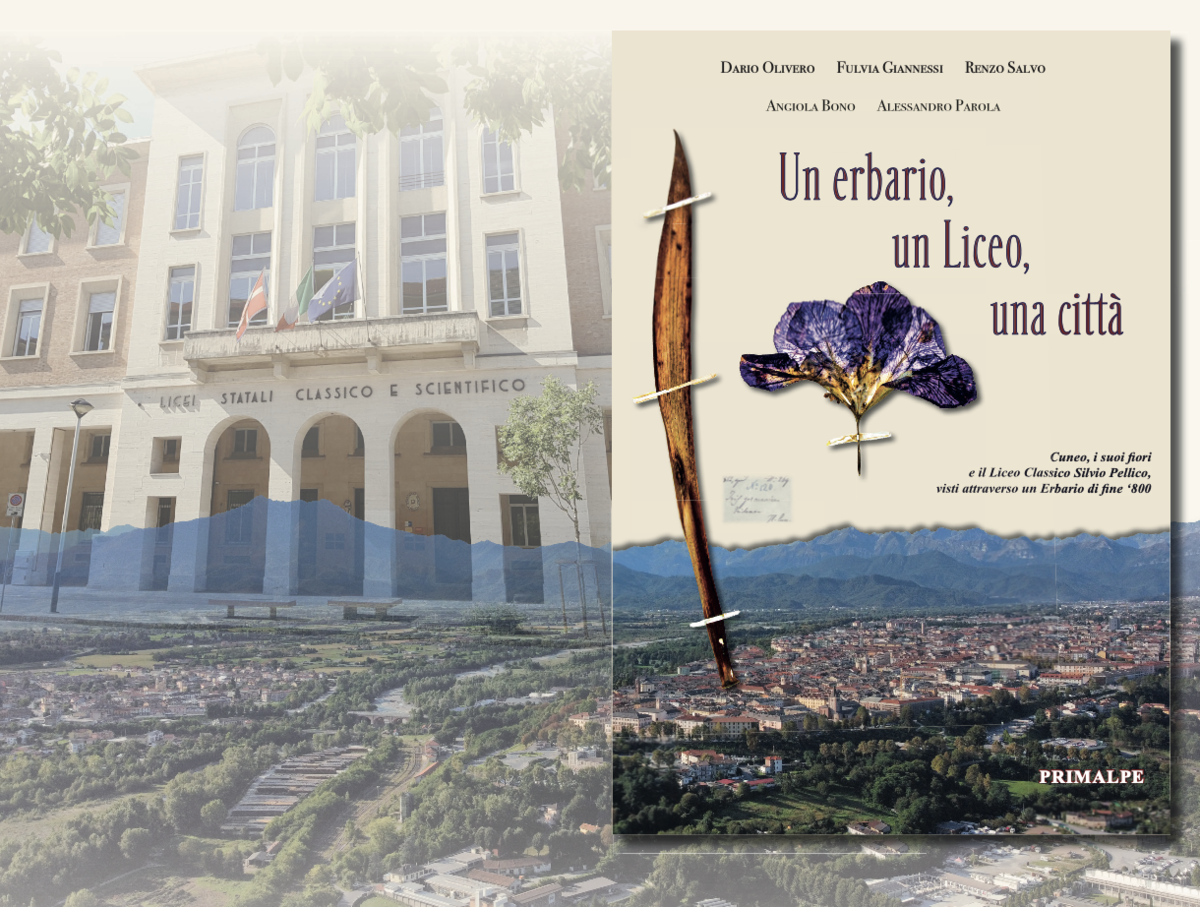 Al Cinema Monviso la città di Cuneo riscoperta attraverso un erbario Al Cinema Monviso la città di Cuneo riscoperta attraverso un erbario