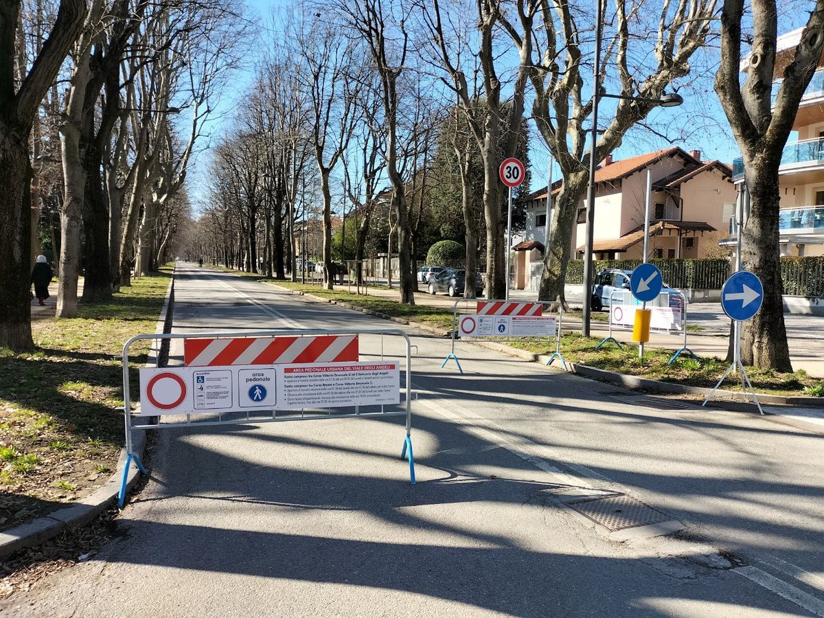 Viale Angeli a Cuneo: Fratelli d’Italia insiste sulla riapertura totale per decongestionare il traffico Viale Angeli a Cuneo: Fratelli d’Italia insiste sulla riapertura totale per decongestionare il traffico