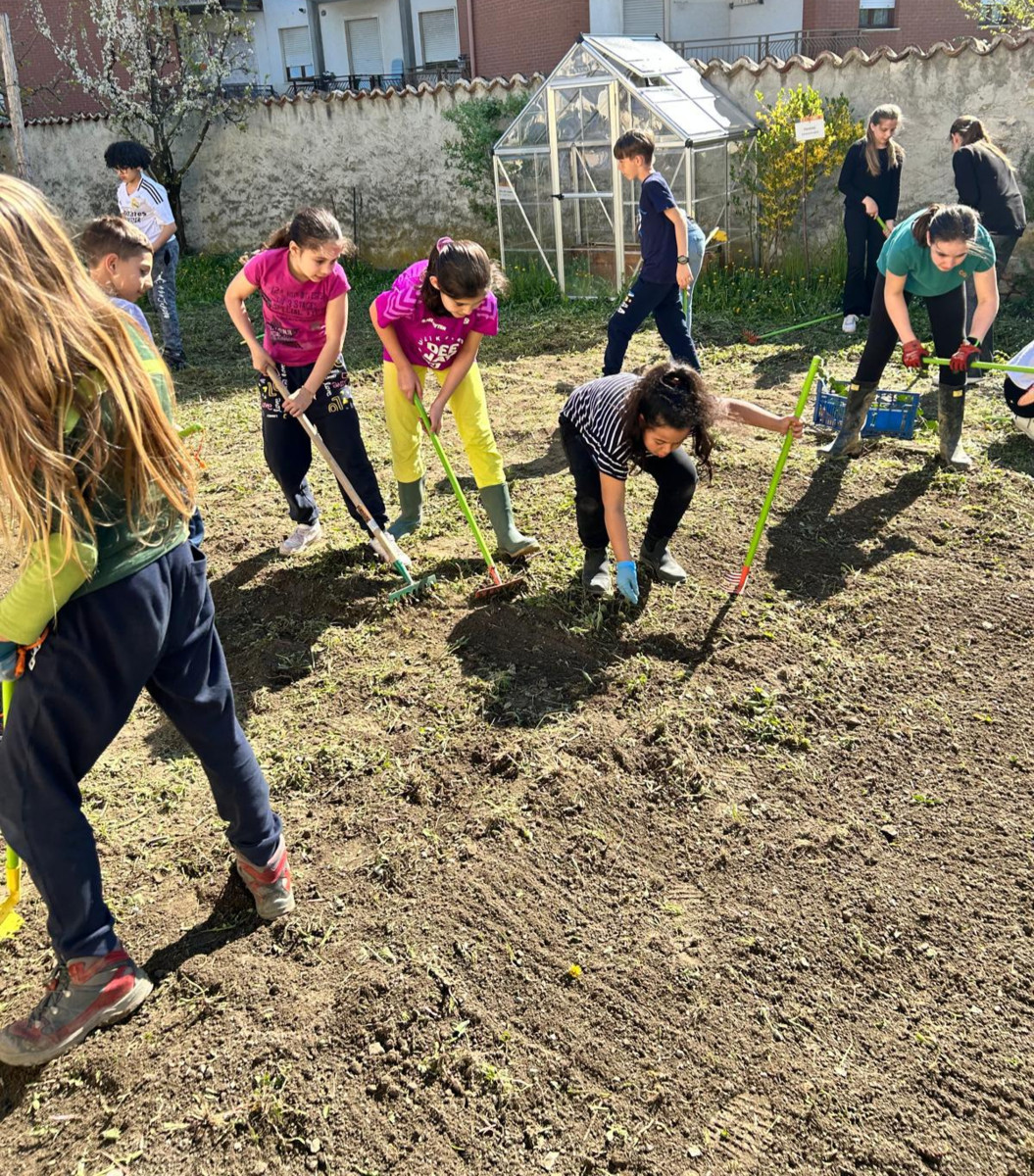 I bambini della primaria di Ceva tornano all'orto botanico con i volontari del Gruppo Micologico