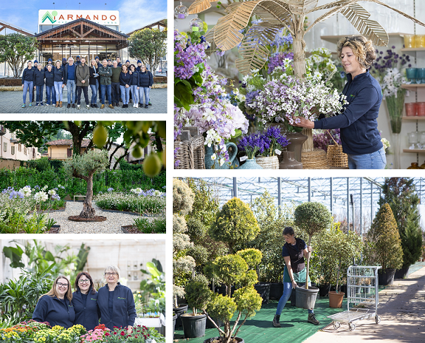 Armando: 70 Primavere di passione per il Verde e la Casa Armando: 70 Primavere di passione per il Verde e la Casa