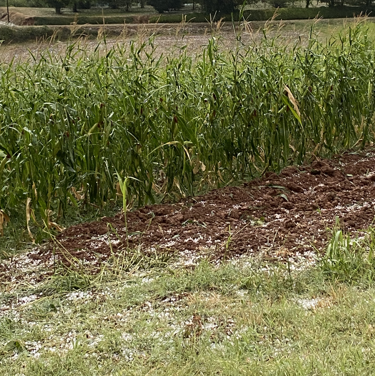 Jennifer love hewitt nipples attractive face and