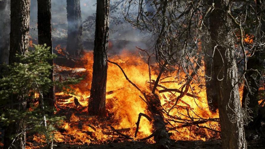 INCENDI / In Piemonte situazione in miglioramento, domani la riunione in Regione per l'emergenza idrica INCENDI / In Piemonte situazione in miglioramento, domani la riunione in Regione per l'emergenza idrica