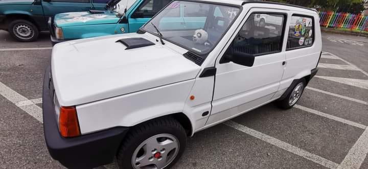 Successo per la terza edizione del Panda raduno del Martinetto Successo per la terza edizione del Panda raduno del Martinetto