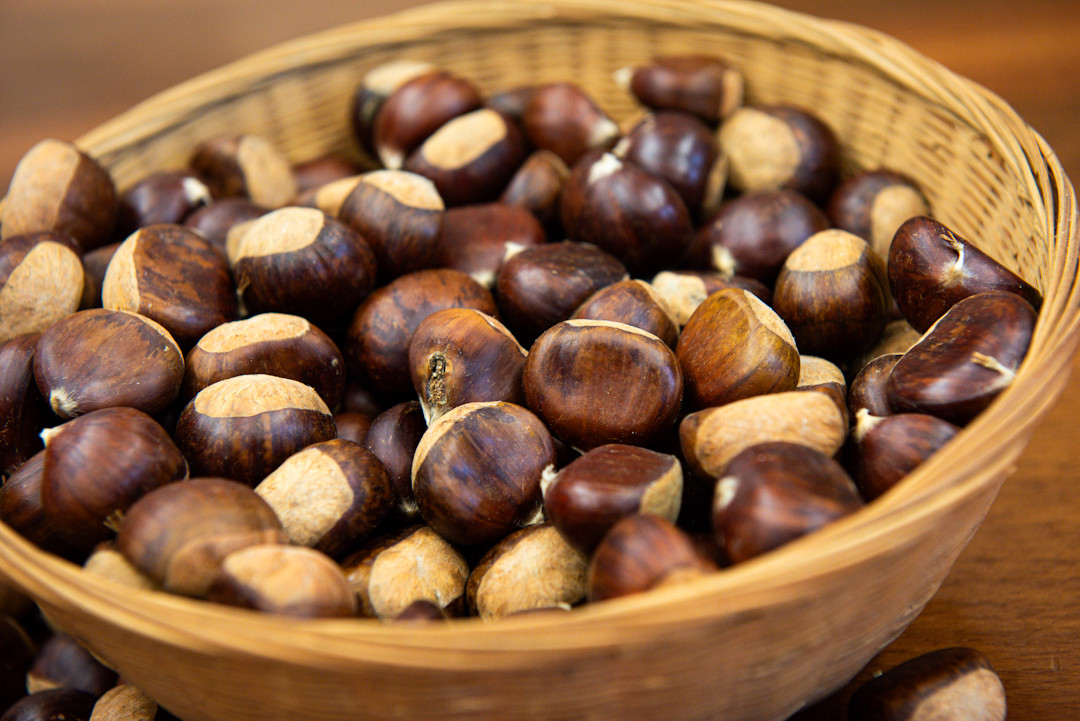 A Garessio un convegno sulla castagna e la sua importanza per il territorio A Garessio un convegno sulla castagna e la sua importanza per il territorio