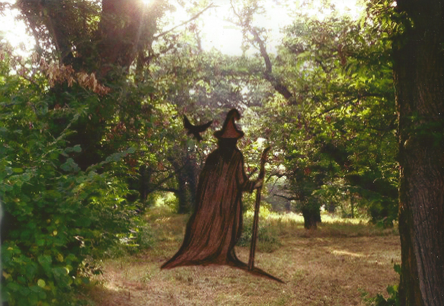 Primo fine settimana di agosto da vivere nella Granda con tanti appuntamenti Primo fine settimana di agosto da vivere nella Granda con tanti appuntamenti