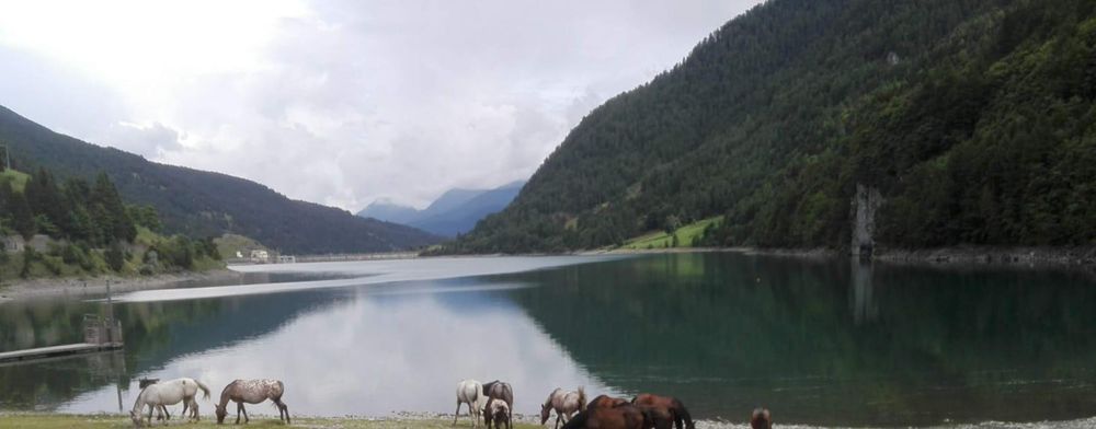 Giornata Mondiale dell’Acqua, quest'anno il tema è "Water and Gender" Giornata Mondiale dell’Acqua, quest'anno il tema è "Water and Gender"