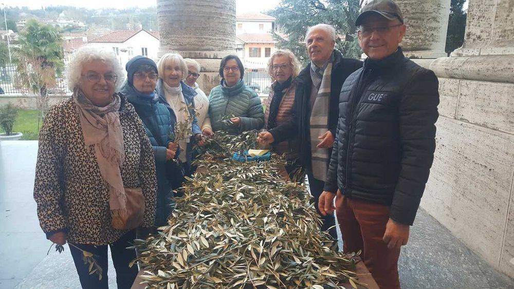 Volontari del Santuario a Bra, che preparano rami di ulivo