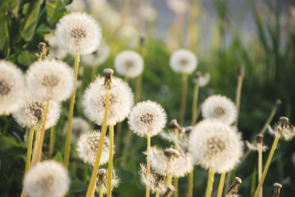 Fine settimana pienamente primaverile e massime tra 22 e 26 gradi