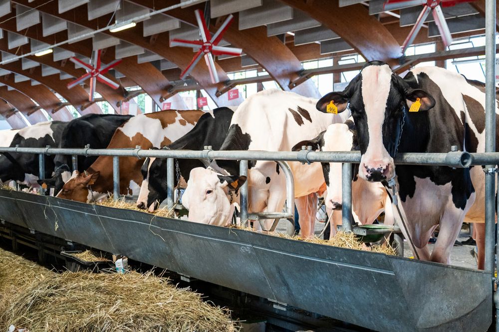 Un convegno sull'uso dei droni chiude domani la Mostra della Meccanica agricola di Saluzzo