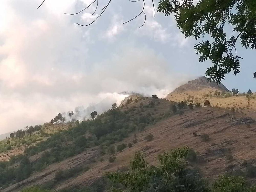 Il vasto incendio che sta interessando la zona Il vasto incendio che sta interessando la zona