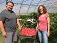 Devid e Serena con una cassetta di fragole fuori suolo raccolte in una serra