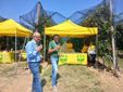 Saluzzo, l'evento "Cogli la prima mela " di Coldiretti Cuneo Saluzzo, l'evento "Cogli la prima mela " di Coldiretti Cuneo