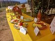 Saluzzo, l'evento "Cogli la prima mela " di Coldiretti Cuneo Saluzzo, l'evento "Cogli la prima mela " di Coldiretti Cuneo
