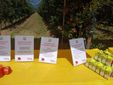Saluzzo, l'evento "Cogli la prima mela " di Coldiretti Cuneo Saluzzo, l'evento "Cogli la prima mela " di Coldiretti Cuneo