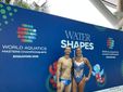 Francesca Montù e Federico Martino ai World Acquatics Master Championship di Singapore Francesca Montù e Federico Martino ai World Acquatics Master Championship di Singapore