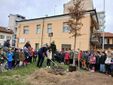 Saluzzo, Festa degli alberi 2025