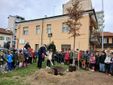 Saluzzo, Festa degli alberi 2025