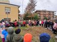 Saluzzo, Festa degli alberi 2025