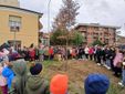 Saluzzo, Festa degli alberi 2025