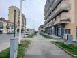 Saluzzo, nuova alberata di via Savigliano