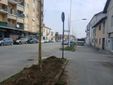 Saluzzo, nuova alberata di via Savigliano