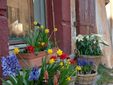 I vasi di fiori rubati