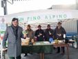 Un "Pino alpino", per aiutare le zone del Veneto devastate dal maltempo delle scorse settimane Un "Pino alpino", per aiutare le zone del Veneto devastate dal maltempo delle scorse settimane