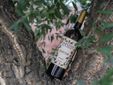 Il vino bianco Aureum
