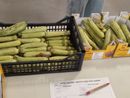 Cuneo, una rete contro spreco alimentare e povertà. Associazioni e Caritas uniscono le forze per sostenibilità, inclusione e solidarietà Cuneo, una rete contro spreco alimentare e povertà. Associazioni e Caritas uniscono le forze per sostenibilità, inclusione e solidarietà
