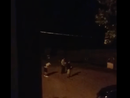 Bene Vagienna, si divertono a lanciare pietre contro un lampione: il Comune pubblica il video Bene Vagienna, si divertono a lanciare pietre contro un lampione: il Comune pubblica il video
