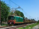 Da Cuneo a Ventimiglia a bordo del treno storico "delle Meraviglie" al Fitwalking a Scarnafigi per una domenica alternativa