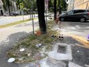 Foto scattata lo scorso anno davanti al Bonelli di Cuneo Foto scattata lo scorso anno davanti al Bonelli di Cuneo