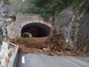 Un enorme albero cade sulla strada tra Fontan e St Dalmas de Tende: circolazione sospesa Un enorme albero cade sulla strada tra Fontan e St Dalmas de Tende: circolazione sospesa