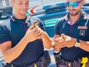 Gli agenti con uno dei piccoli pulcini salvati Gli agenti con uno dei piccoli pulcini salvati