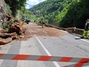 Rimosso l'albero e riaperta a senso unico alternato la statale della valle Roya Rimosso l'albero e riaperta a senso unico alternato la statale della valle Roya