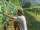 STORIE DI MONTAGNA 171 / Tommaso, tra bollicine, coraggio e sogni realizzati STORIE DI MONTAGNA 171 / Tommaso, tra bollicine, coraggio e sogni realizzati