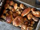 Funghi, una stagione incerta e scarsa che ricade sui ristoranti e rivenditori
