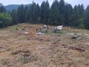 Moria di bovini ad Oncino: 41 i capi deceduti in due giorni Moria di bovini ad Oncino: 41 i capi deceduti in due giorni