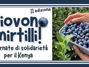 A Cuneo piovono mirtilli: raccolta solidale a sostegno della LVIA A Cuneo piovono mirtilli: raccolta solidale a sostegno della LVIA