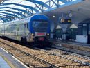 Linea Alba-Torino: tornano le corse speciali per Cheese e il collegamento ferroviario con Caselle Linea Alba-Torino: tornano le corse speciali per Cheese e il collegamento ferroviario con Caselle