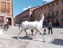 Il cavallo bianco di Napoleone fa il suo ingresso trionfale a Cherasco: è un'opera del piozzese Franco Sebastiano Alessandria