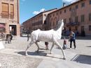 Il cavallo bianco di Napoleone a Cherasco